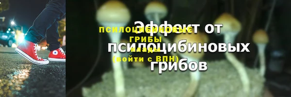 МДПВ Иннополис