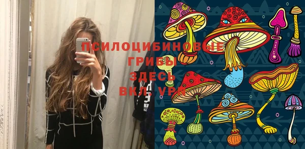 молекула духа Зерноград