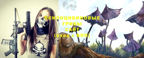 МДПВ Иннополис