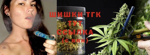 МДПВ Инта