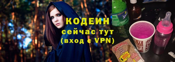 МДПВ Инта