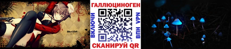 дарнет шоп  Судак  Псилоцибиновые грибы ЛСД 